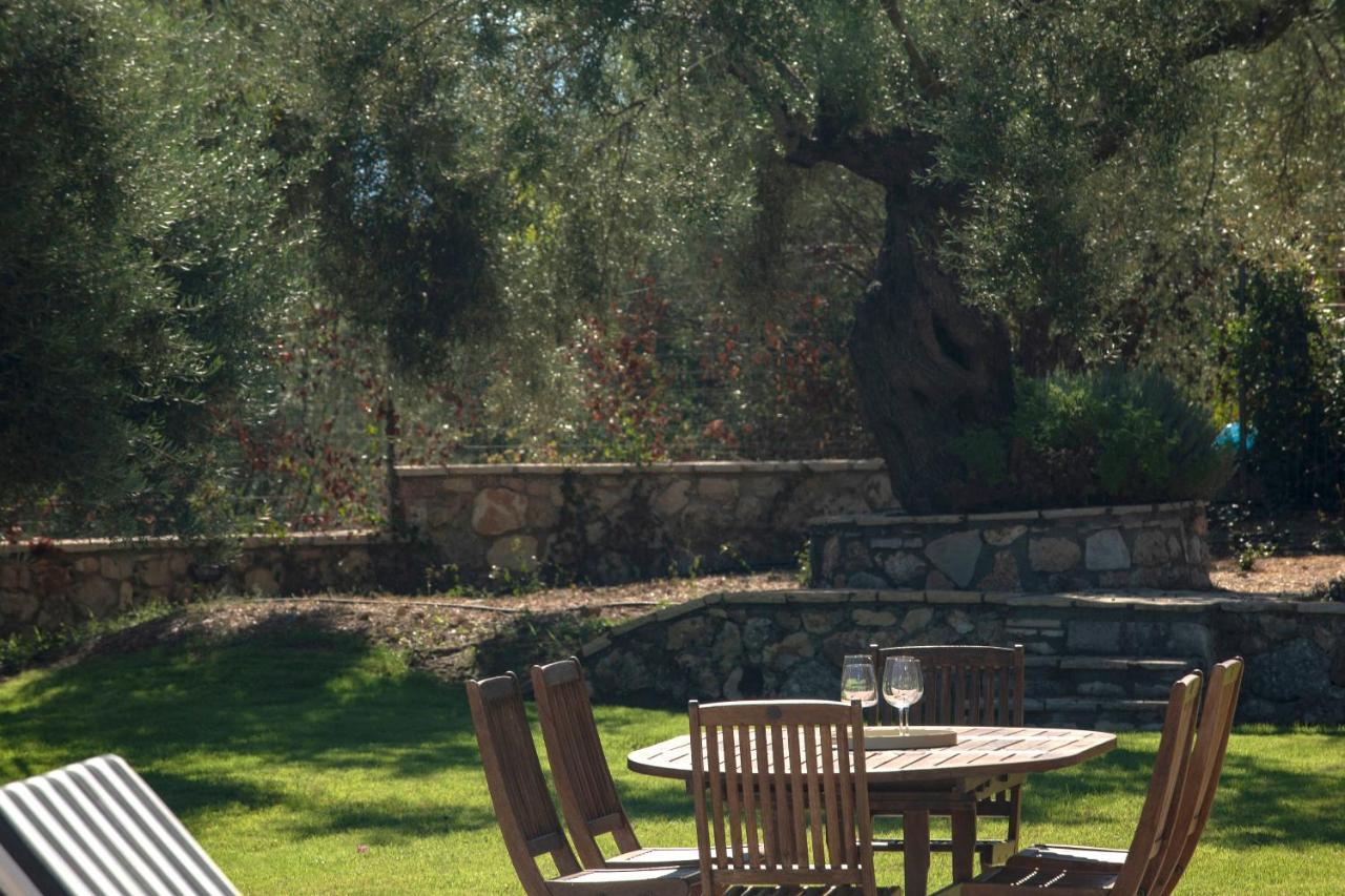 Villa Artemis Νικιάνα Εξωτερικό φωτογραφία