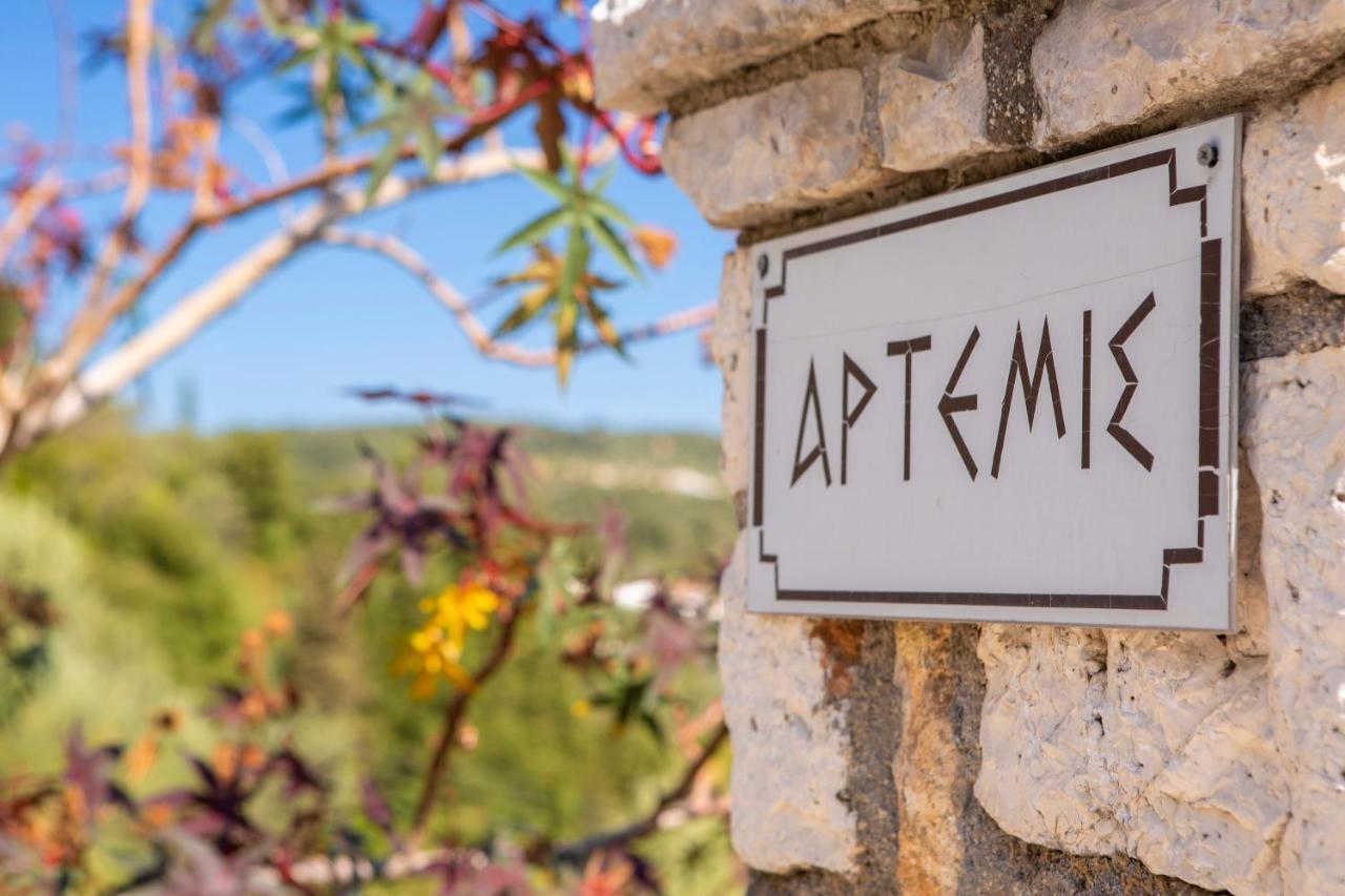 Villa Artemis Νικιάνα Εξωτερικό φωτογραφία